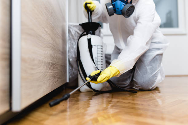 Best Commercial Pest Control Services  in Cave Junction, OR