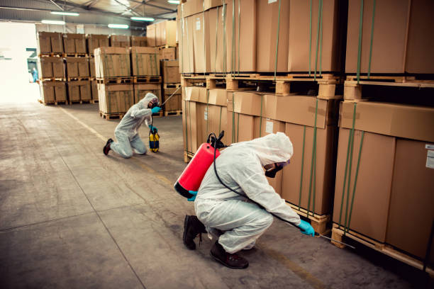 Best Pest Removal Services  in Cave Junction, OR