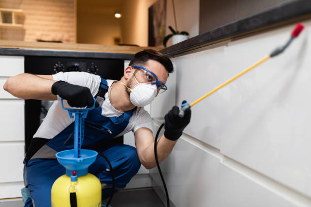 Best Insect Control  in Cave Junction, OR