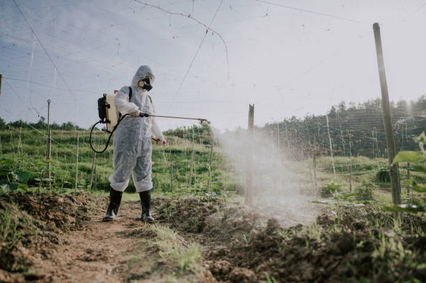 Best Best Pest Control Companies  in Cave Junction, OR