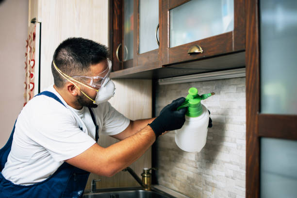 Best Cockroach Control Services  in Cave Junction, OR