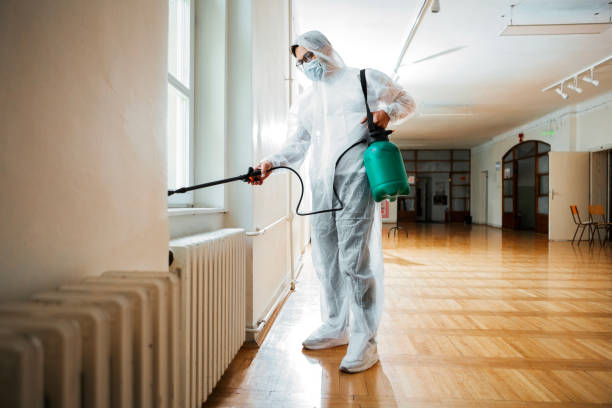 Best Best Pest Control Companies  in Cave Junction, OR