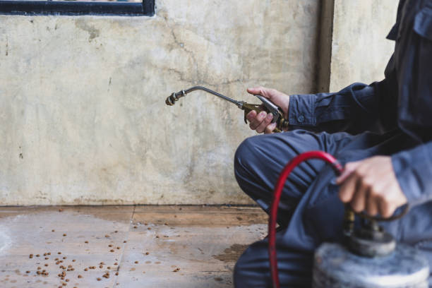 Best Pest Prevention Services  in Cave Junction, OR